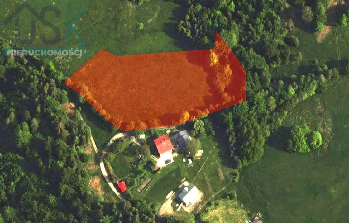 Zdjęcie 8