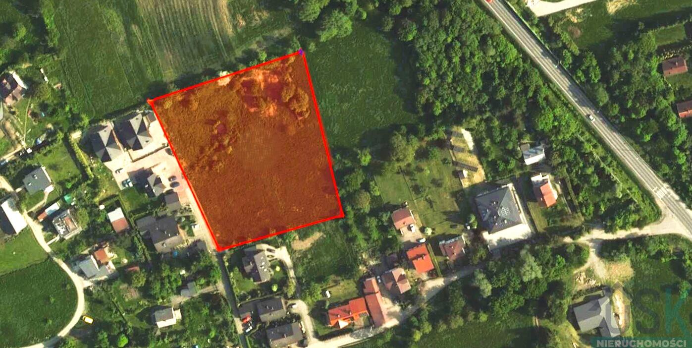 Zdjęcie 7