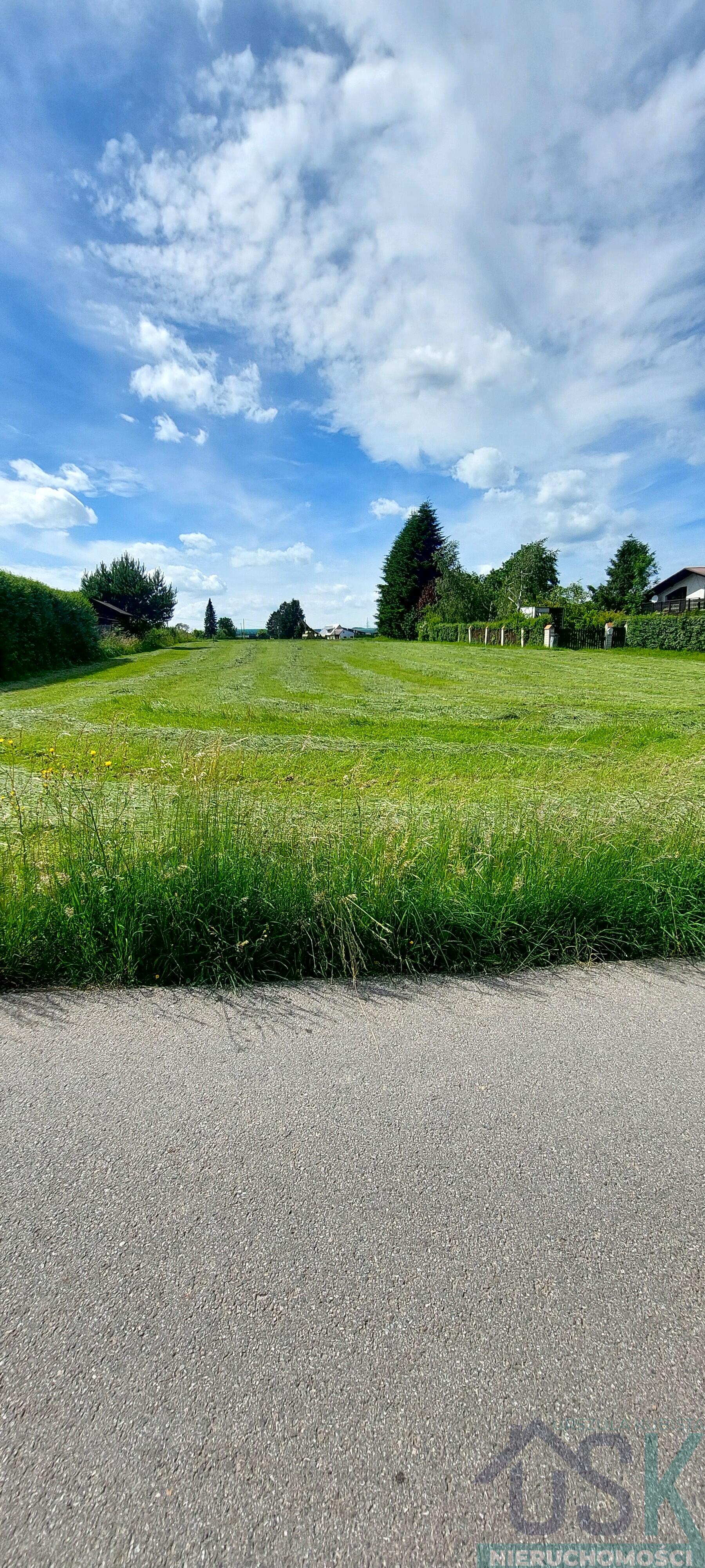 Zdjęcie 10