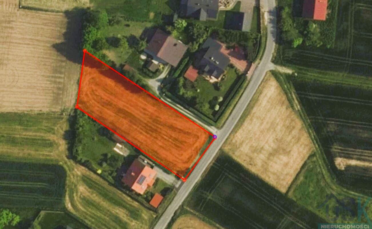 Zdjęcie 13