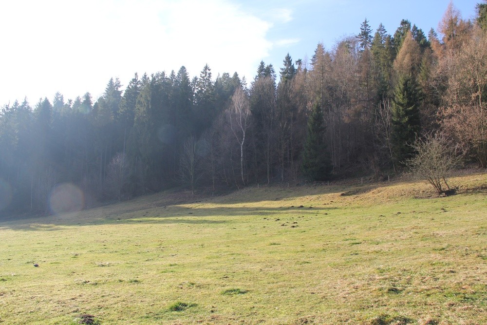 Zdjęcie 5