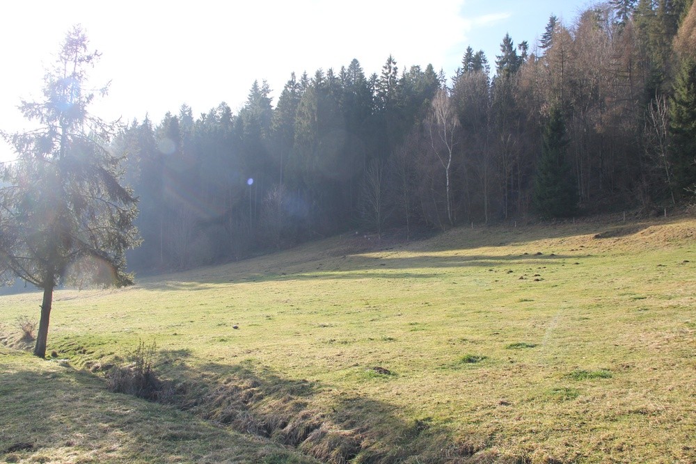 Zdjęcie 10