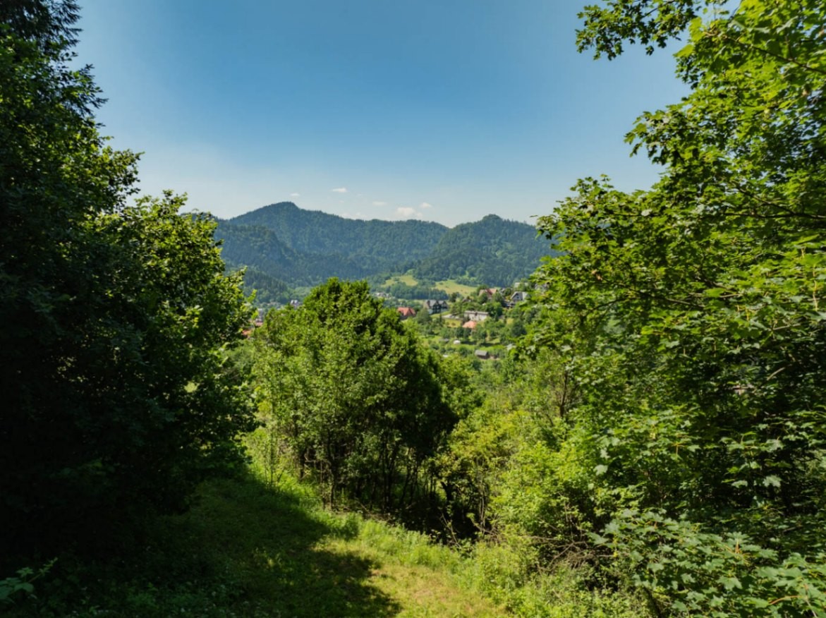 Działka rolna 1 295 m², Szczawnica