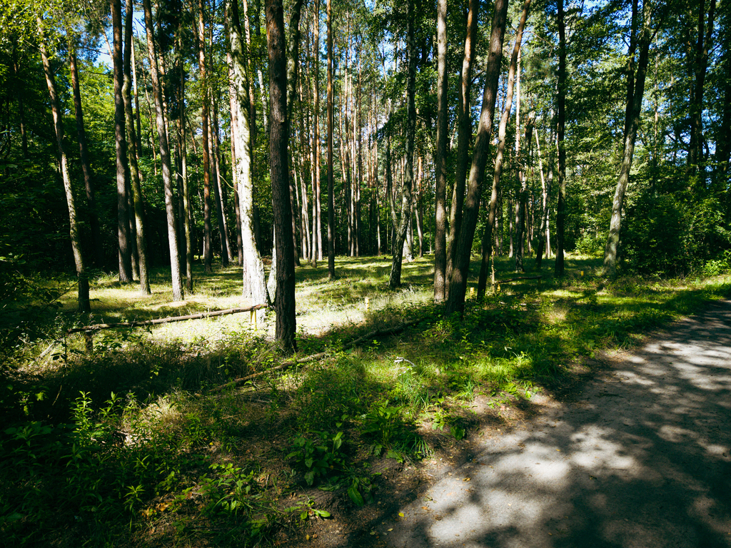 Działka budowlana 972 m², Księstwo