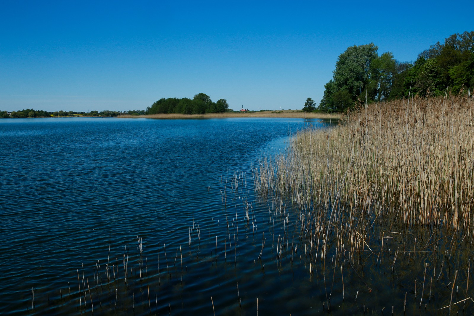 Zdjęcie 17