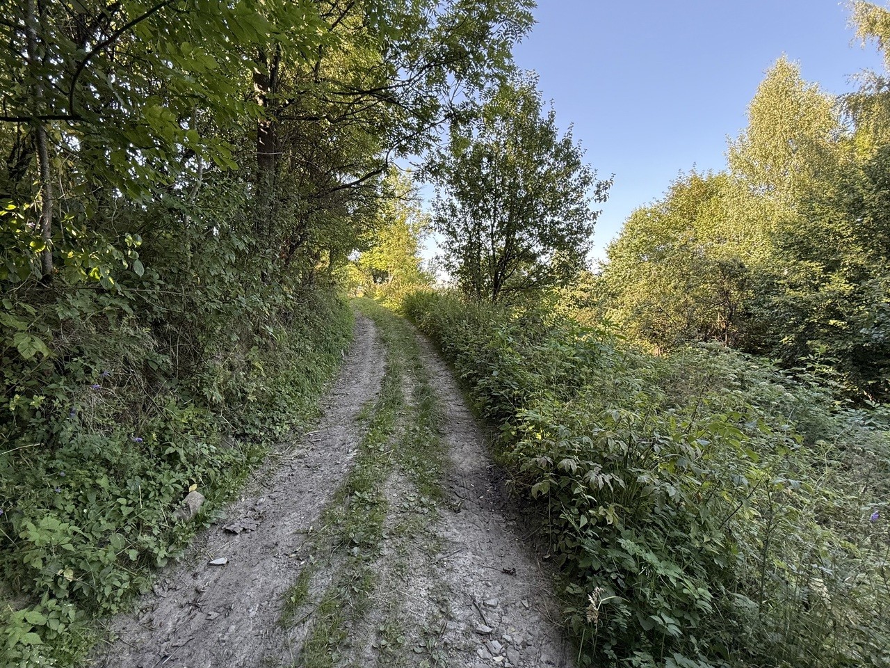 Zdjęcie 12