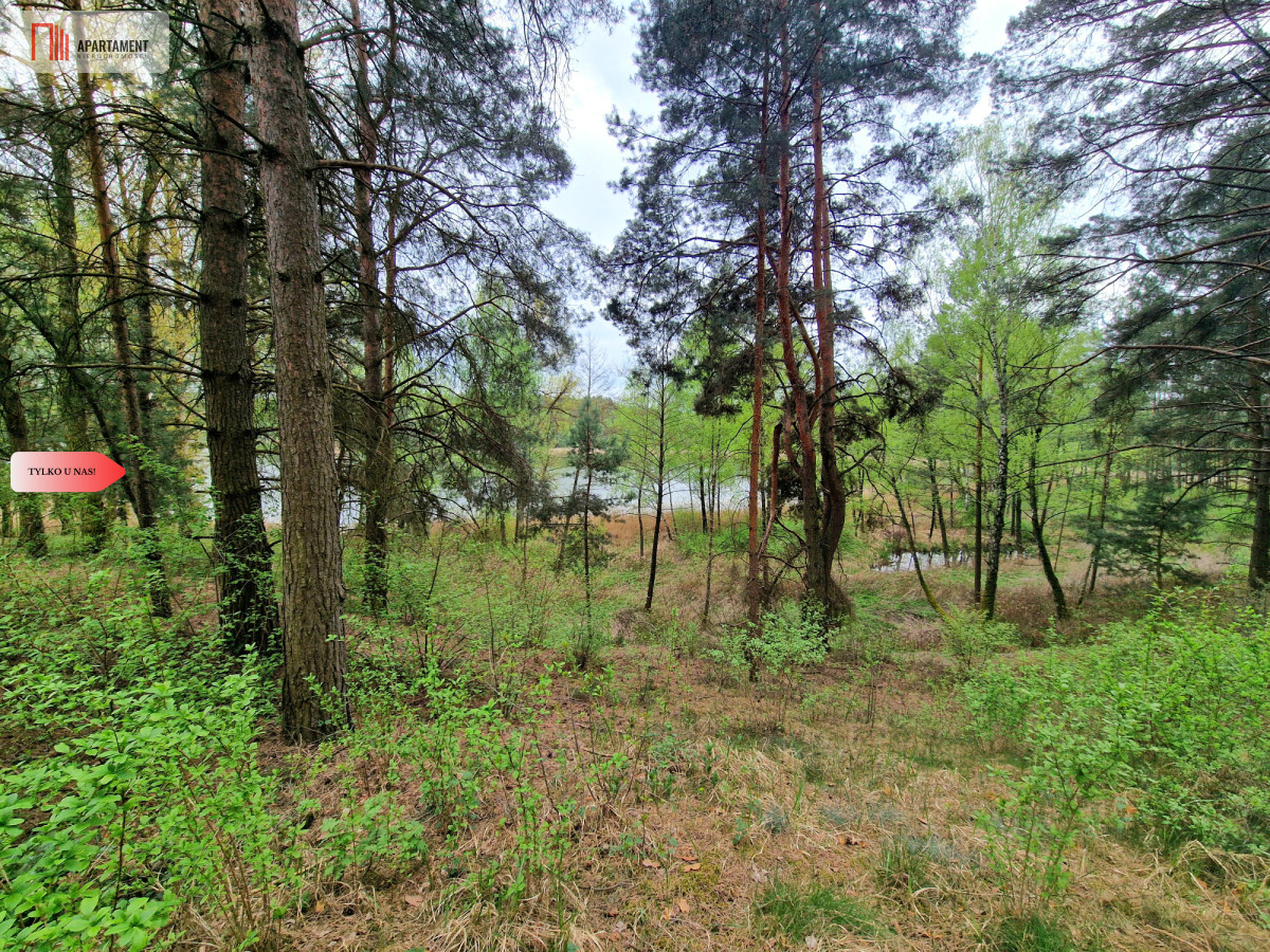 Zdjęcie 11
