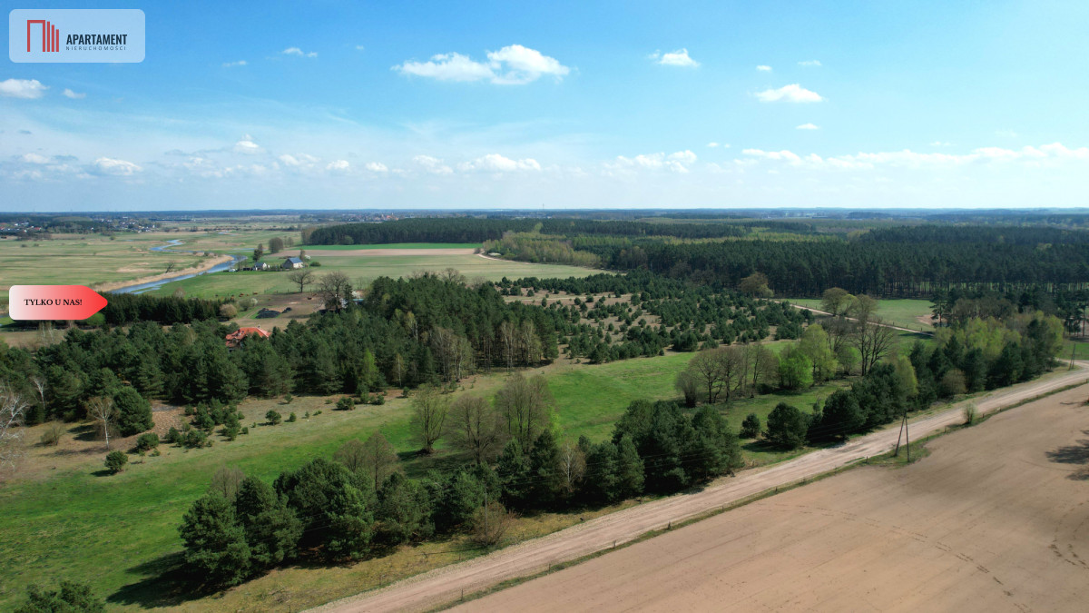 Zdjęcie 10