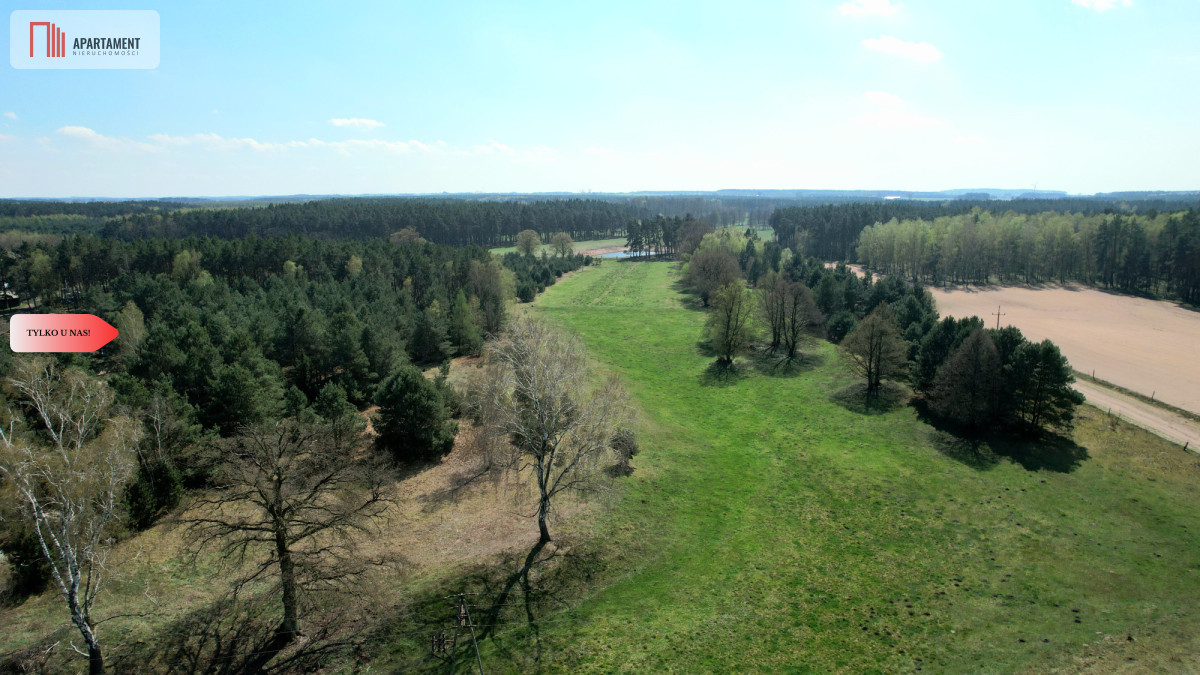 Zdjęcie 11