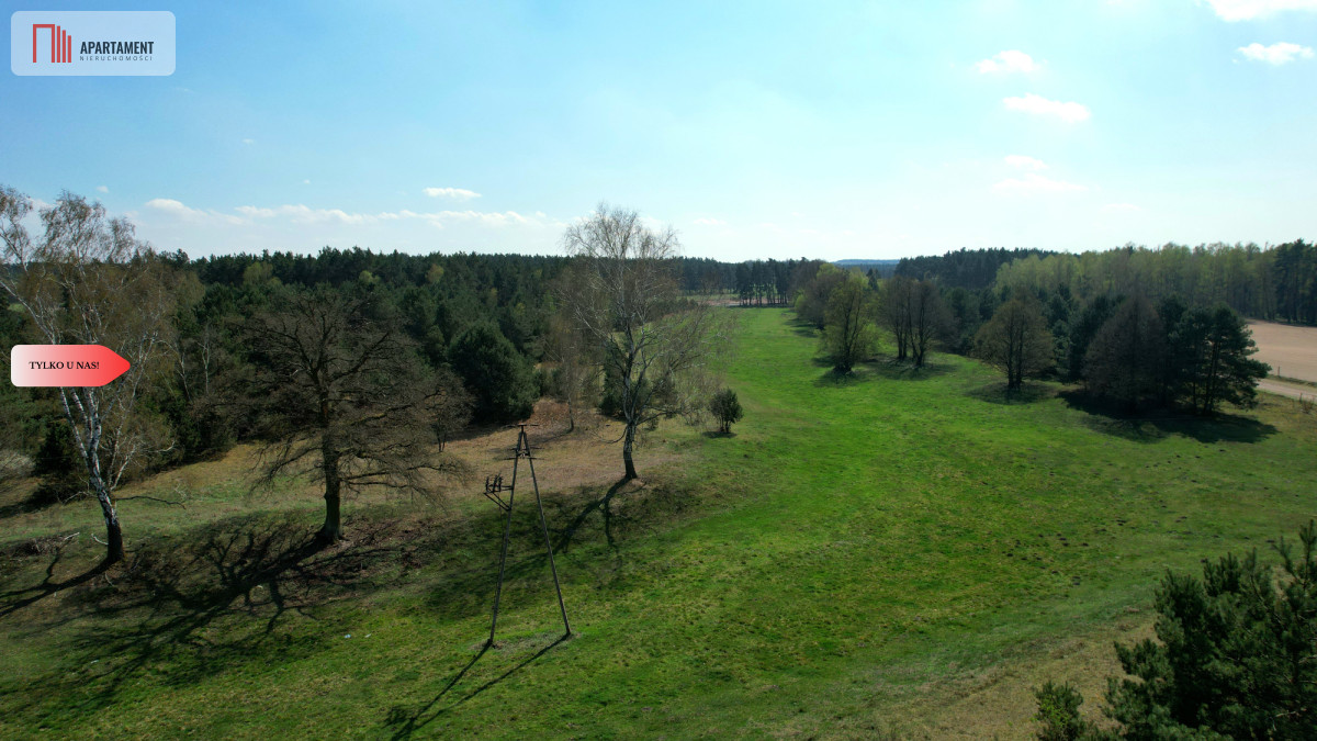 Zdjęcie 12