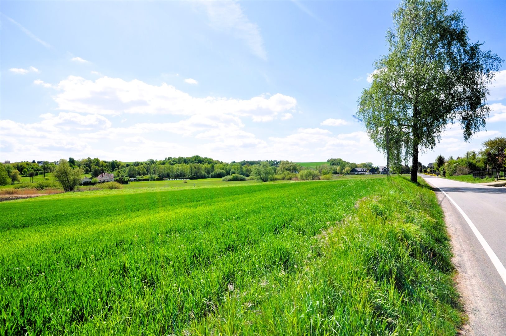 Działka budowlana 9 000 m², Sulechów
