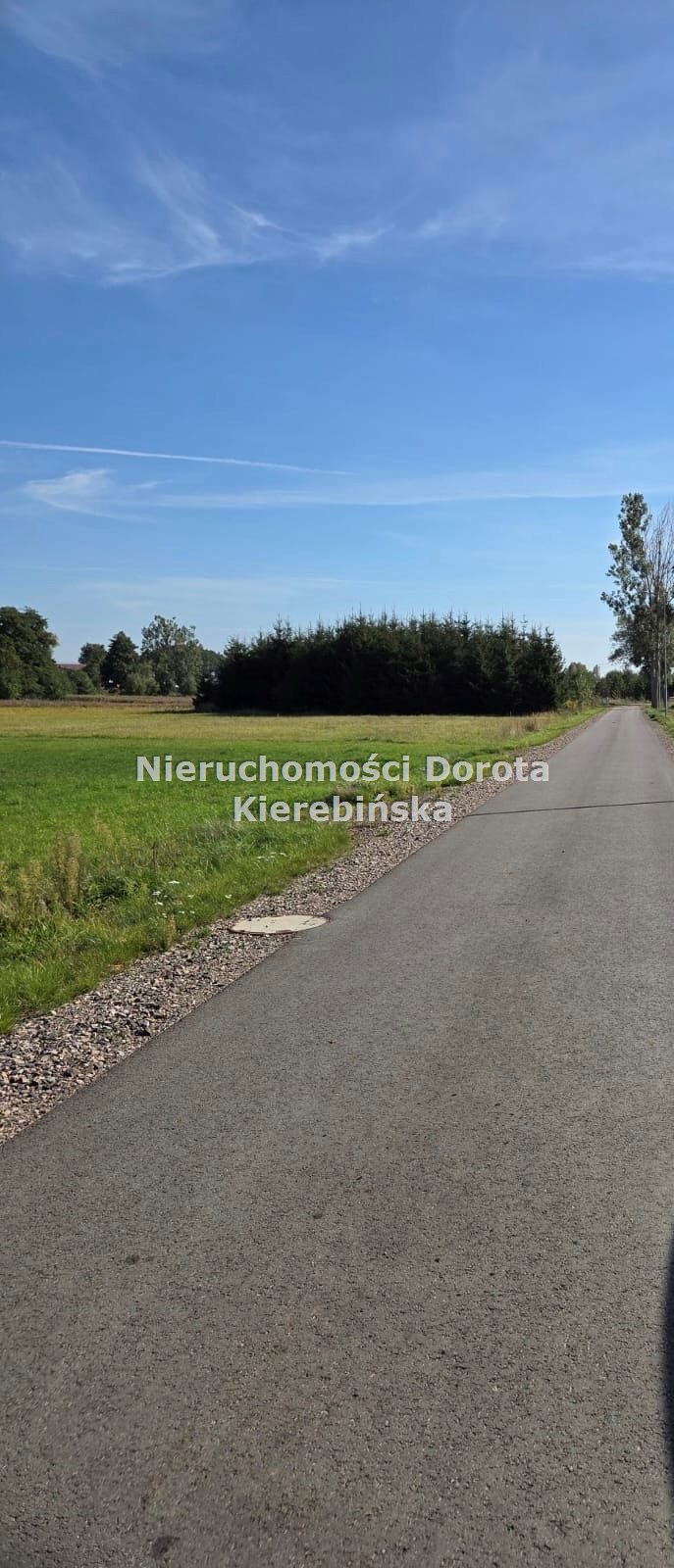 Zdjęcie 3