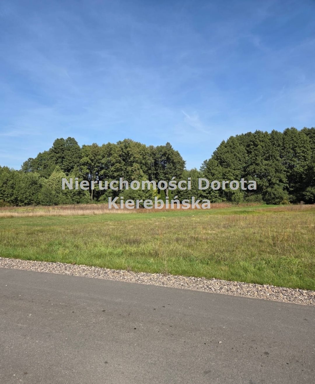 Zdjęcie 8