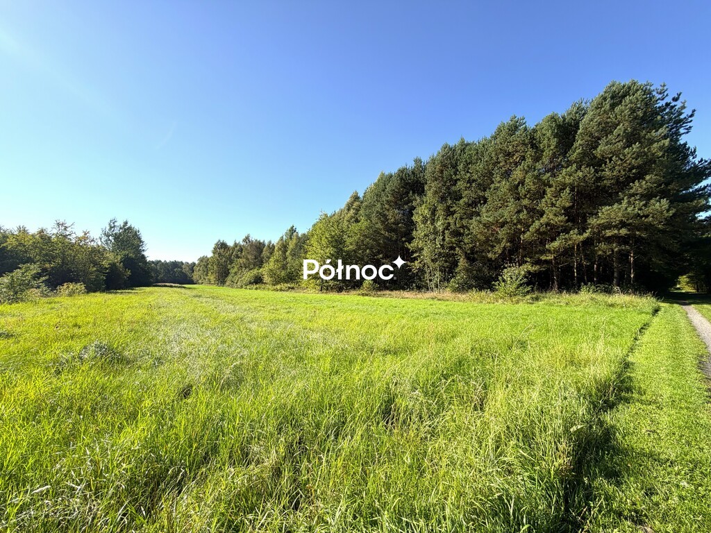 Działka budowlana 1,68 ha, Pukarzów