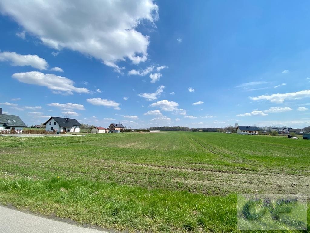 Działka rolna 3 240 m², Miedźna