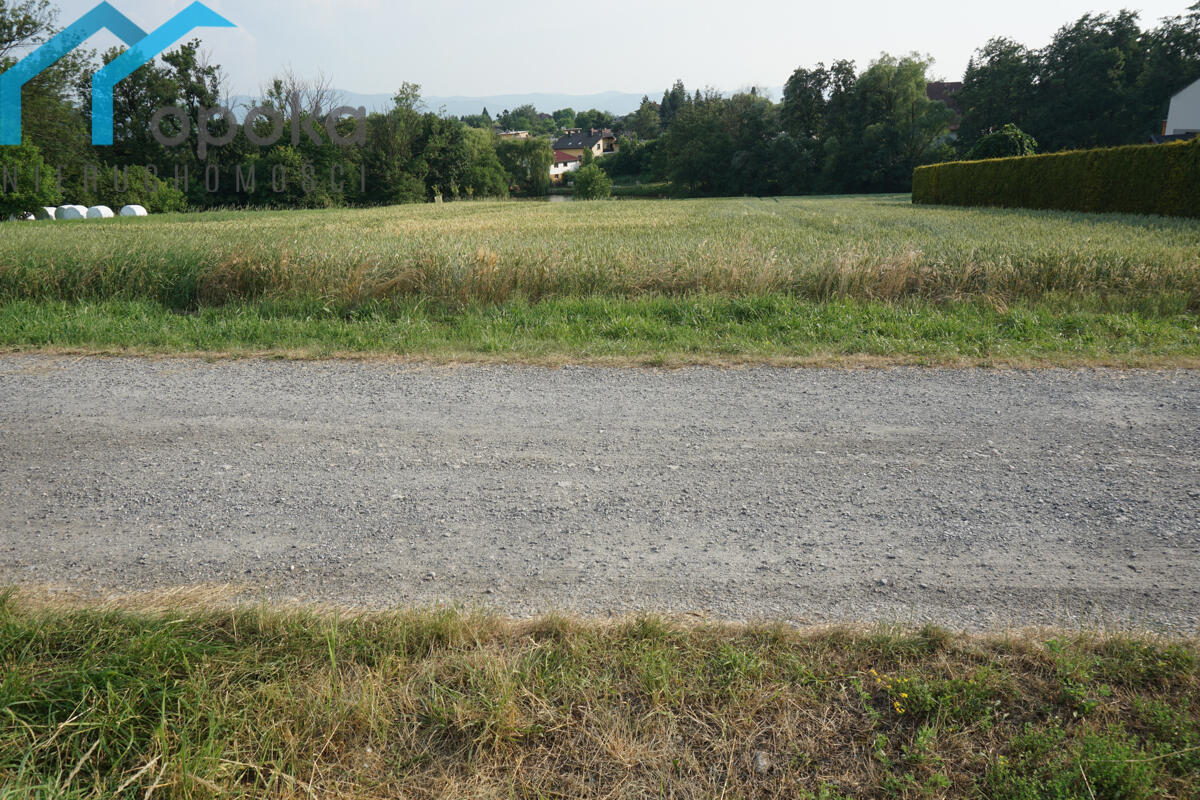 Zdjęcie 12