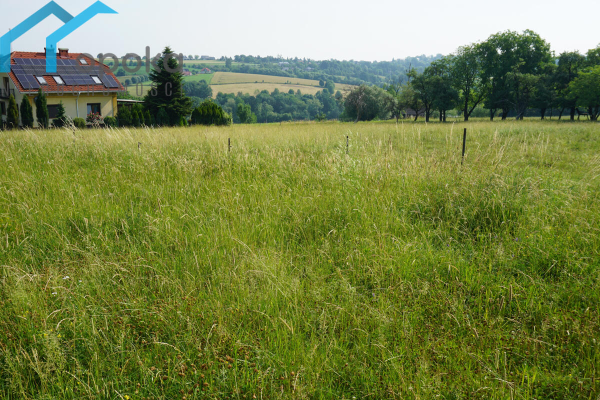 Zdjęcie 14