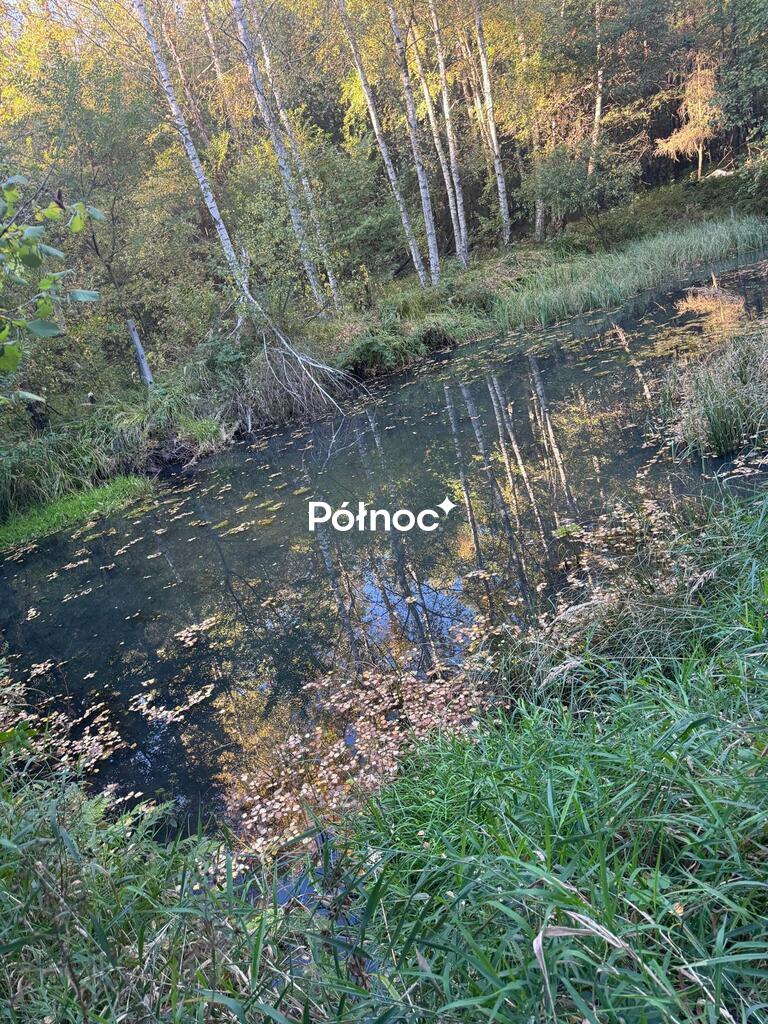 Zdjęcie 6