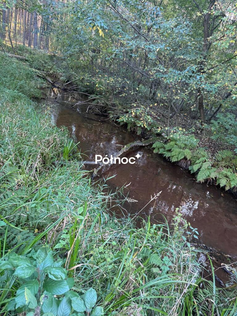Zdjęcie 7