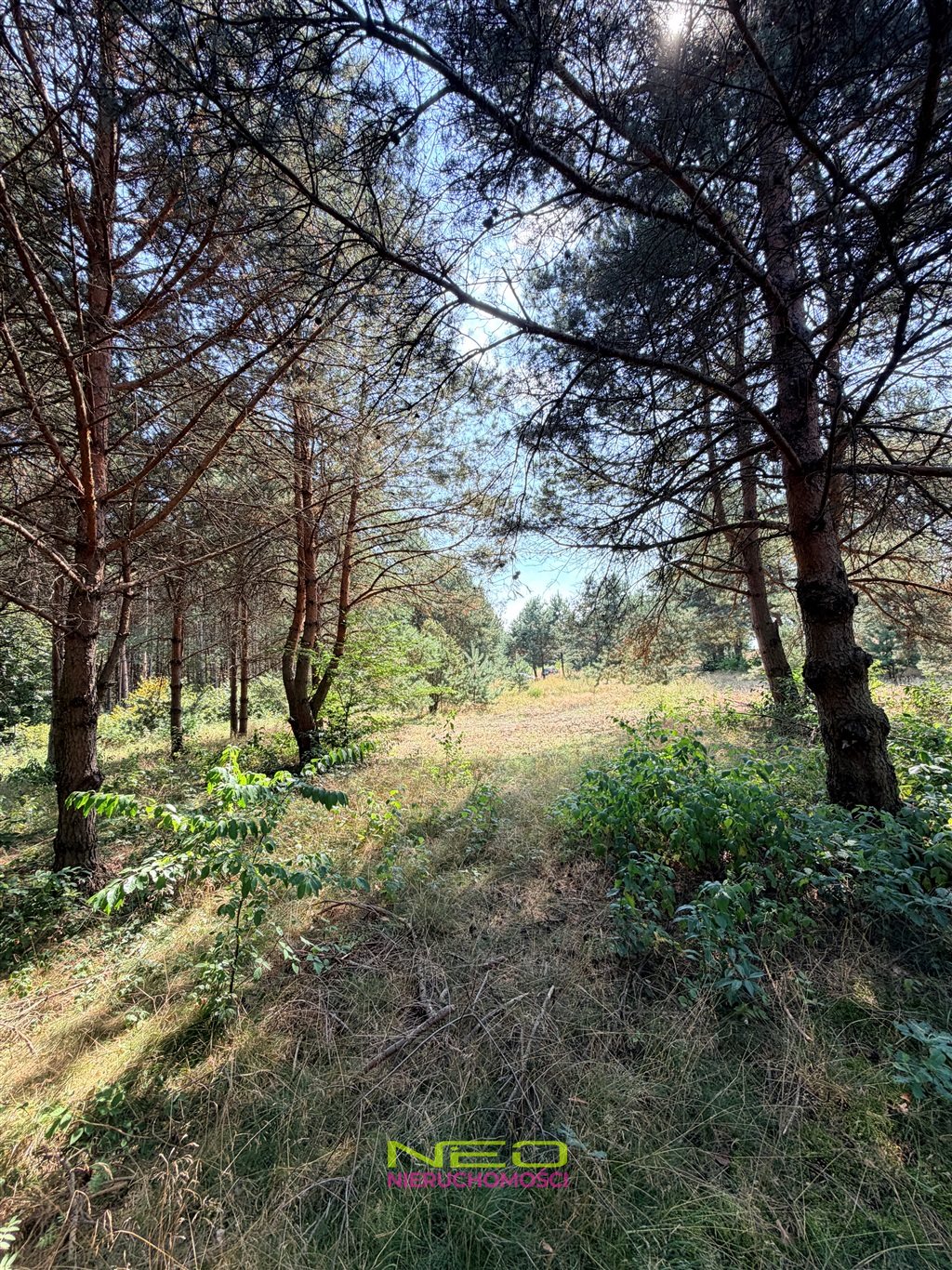 Działka budowlana 2 866 m², Biskupice