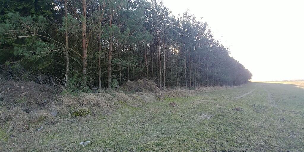 Zdjęcie 5