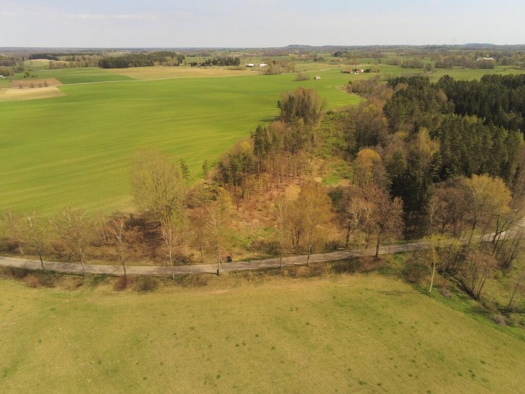 Zdjęcie 6