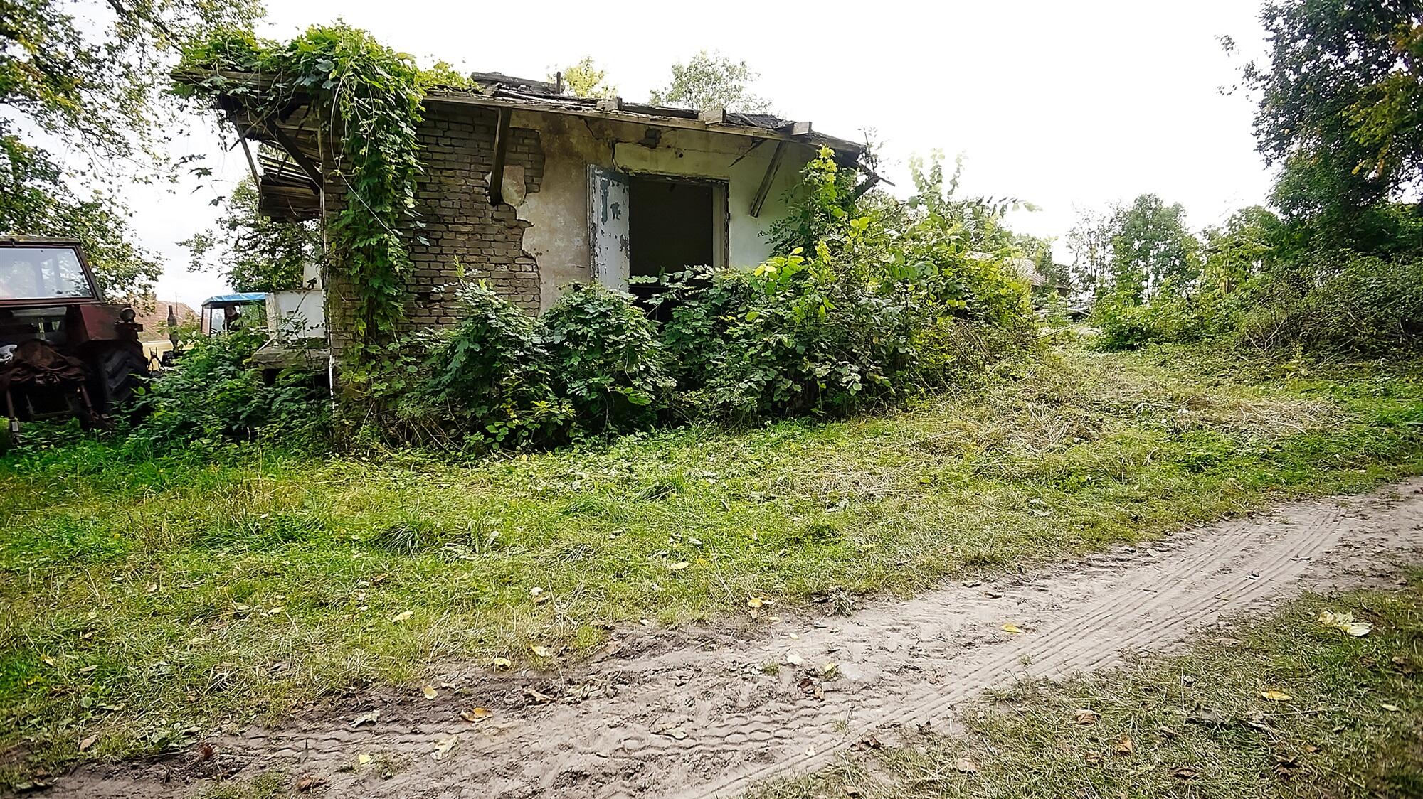 Zdjęcie 5