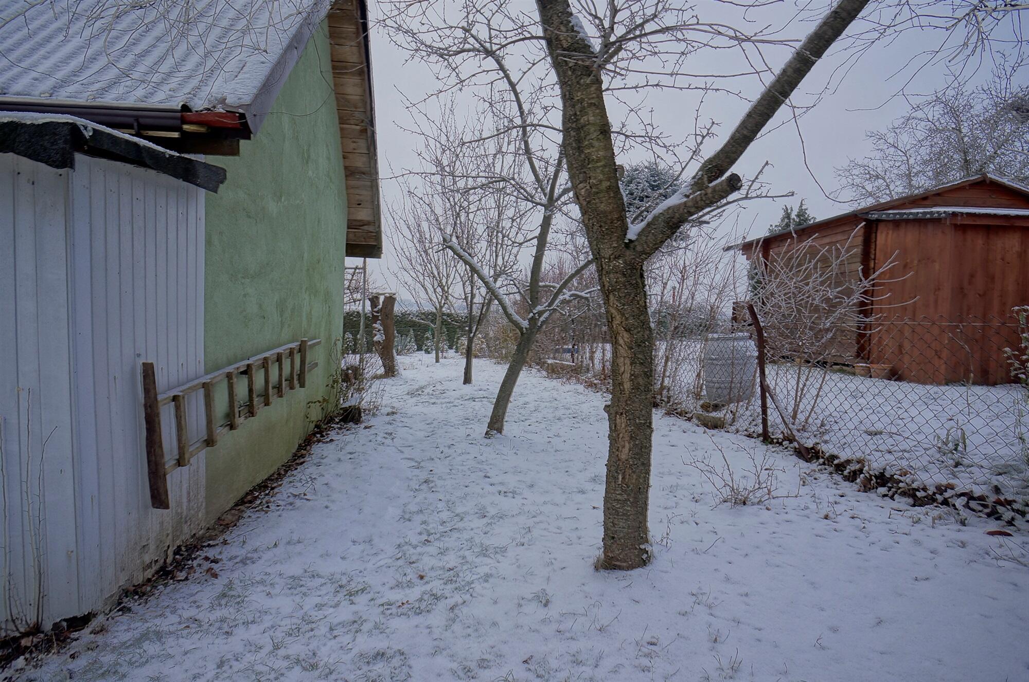 Zdjęcie 9