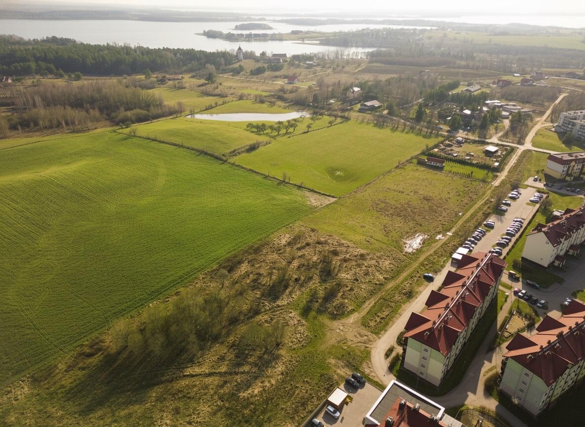 Zdjęcie 7