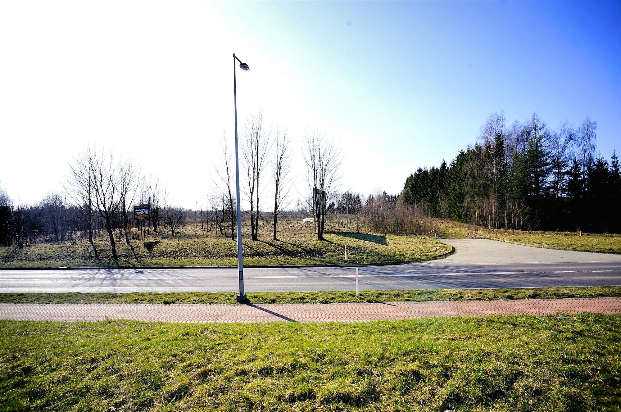 Zdjęcie 8