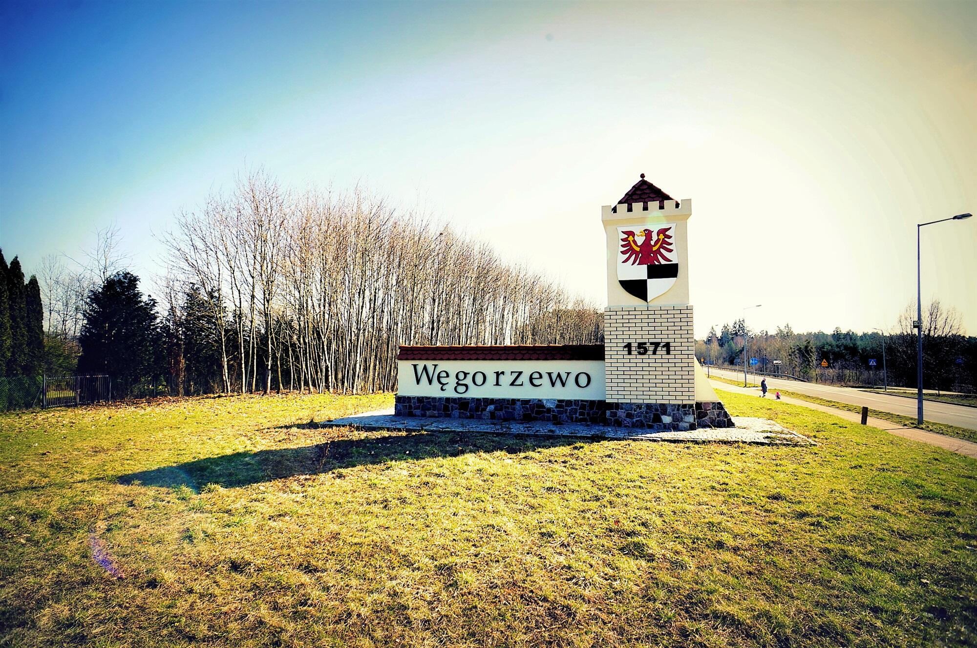 Zdjęcie 11