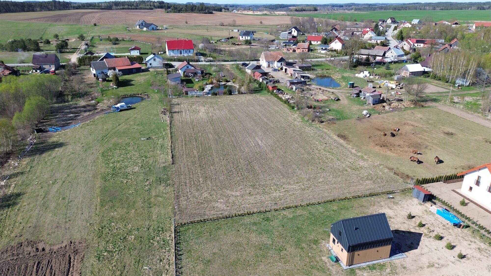 Zdjęcie 4