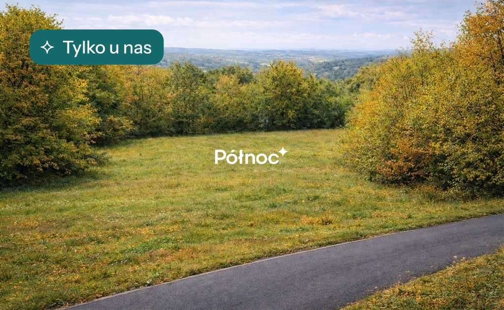 Działka budowlana 2 446 m², Nowy Wiśnicz