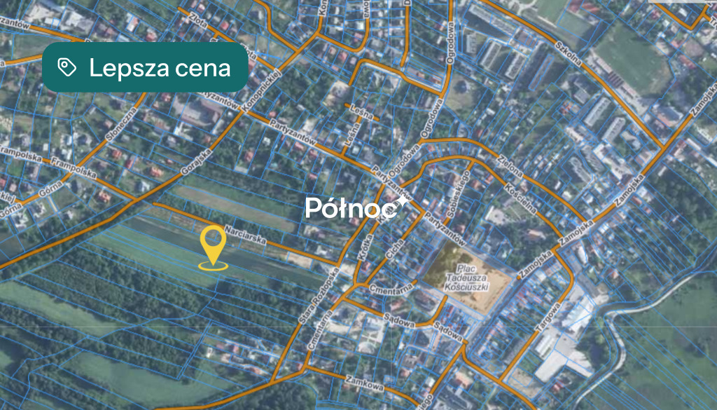Zdjęcie 7