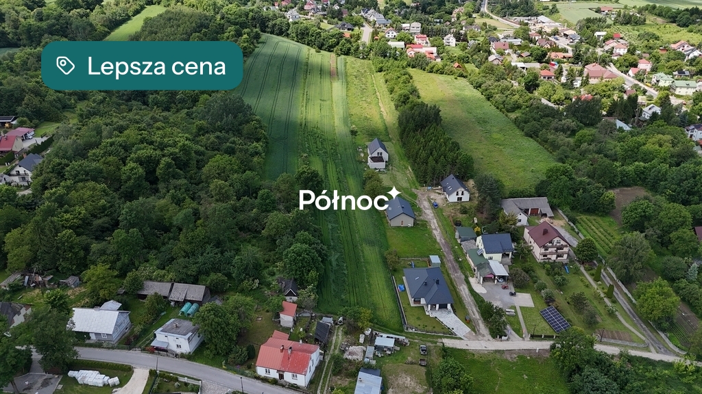 Zdjęcie 8
