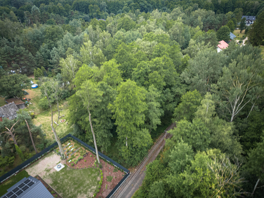 Zdjęcie 17