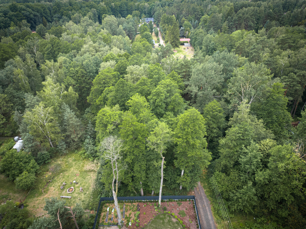 Zdjęcie 18