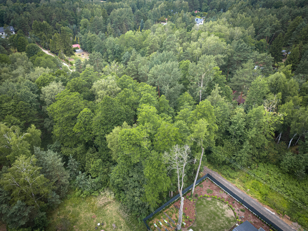 Zdjęcie 19