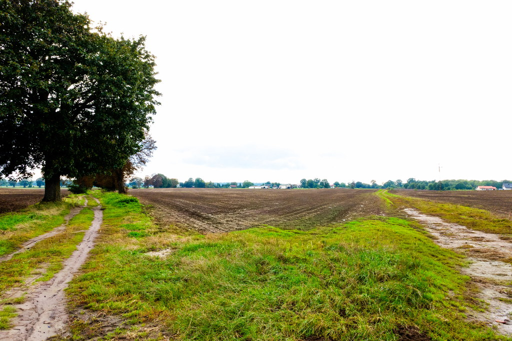 Zdjęcie 11