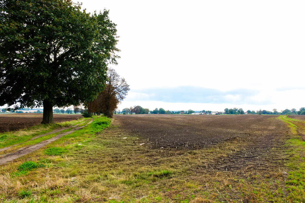 Zdjęcie 12