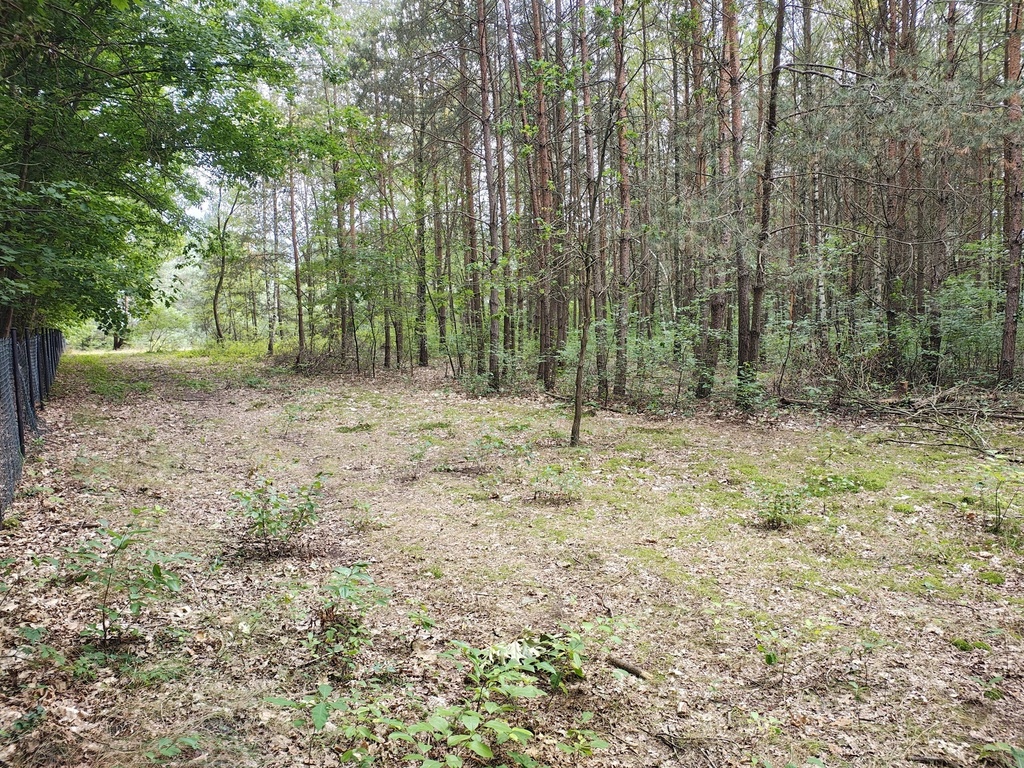 Działka budowlana 2 442 m², Sokolniki-Las