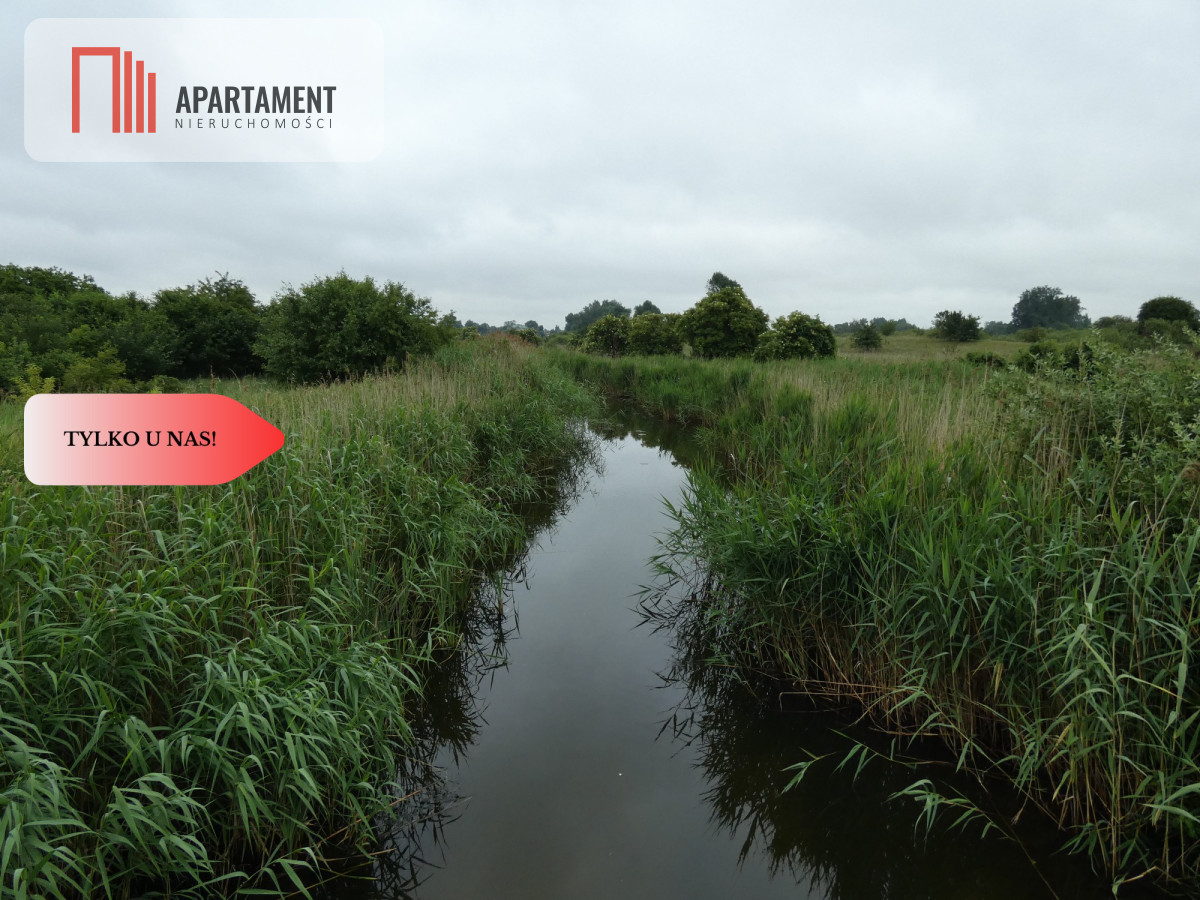 Zdjęcie 4