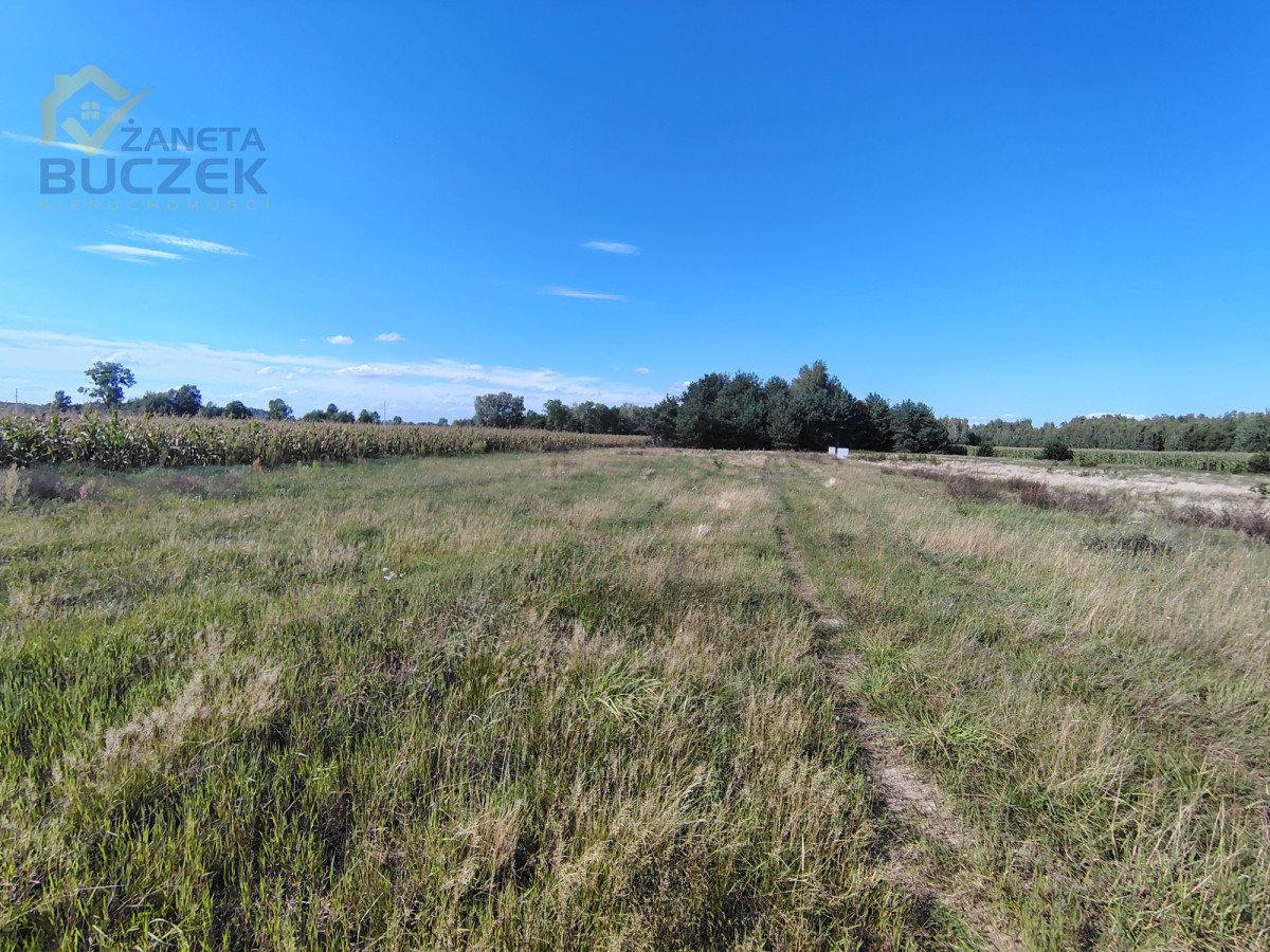 Działka budowlana i inwestycyjna 1 450 m², Dachowa