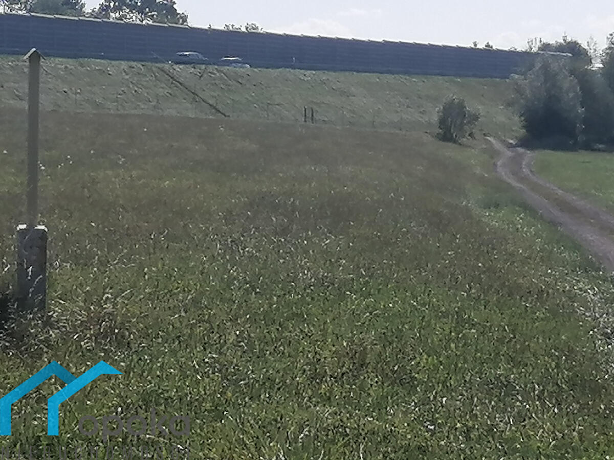 Zdjęcie 12