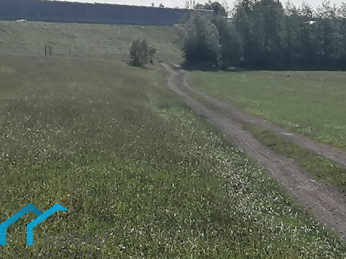 Zdjęcie 13