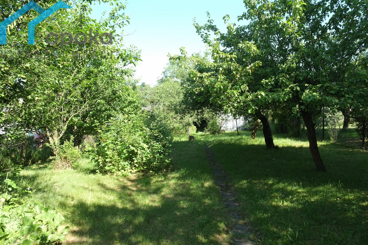 Zdjęcie 11
