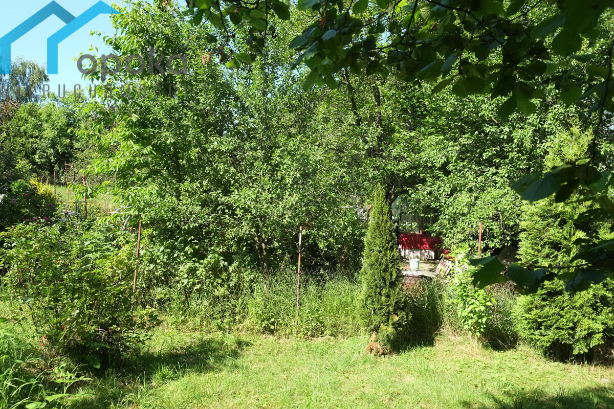 Zdjęcie 13