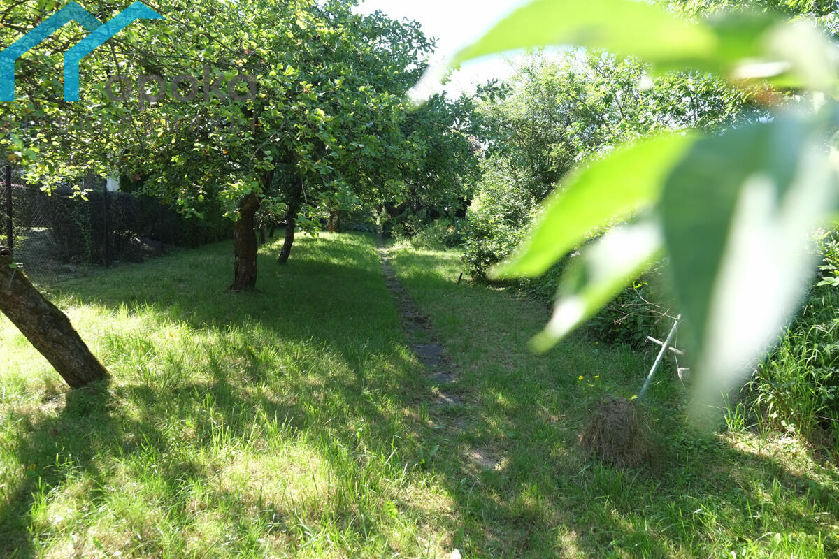 Zdjęcie 15