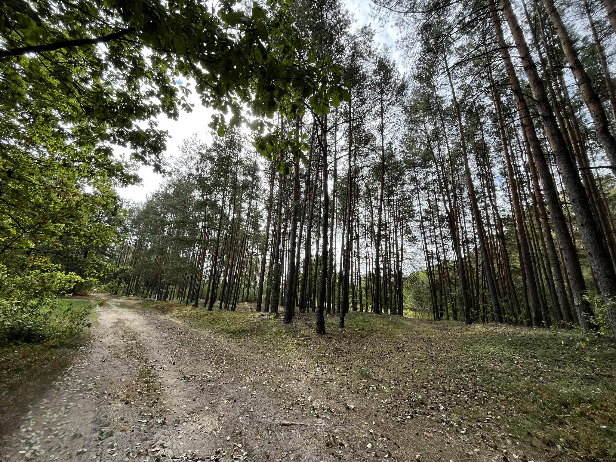 Działka rolna 5 500 m², Pustelnik