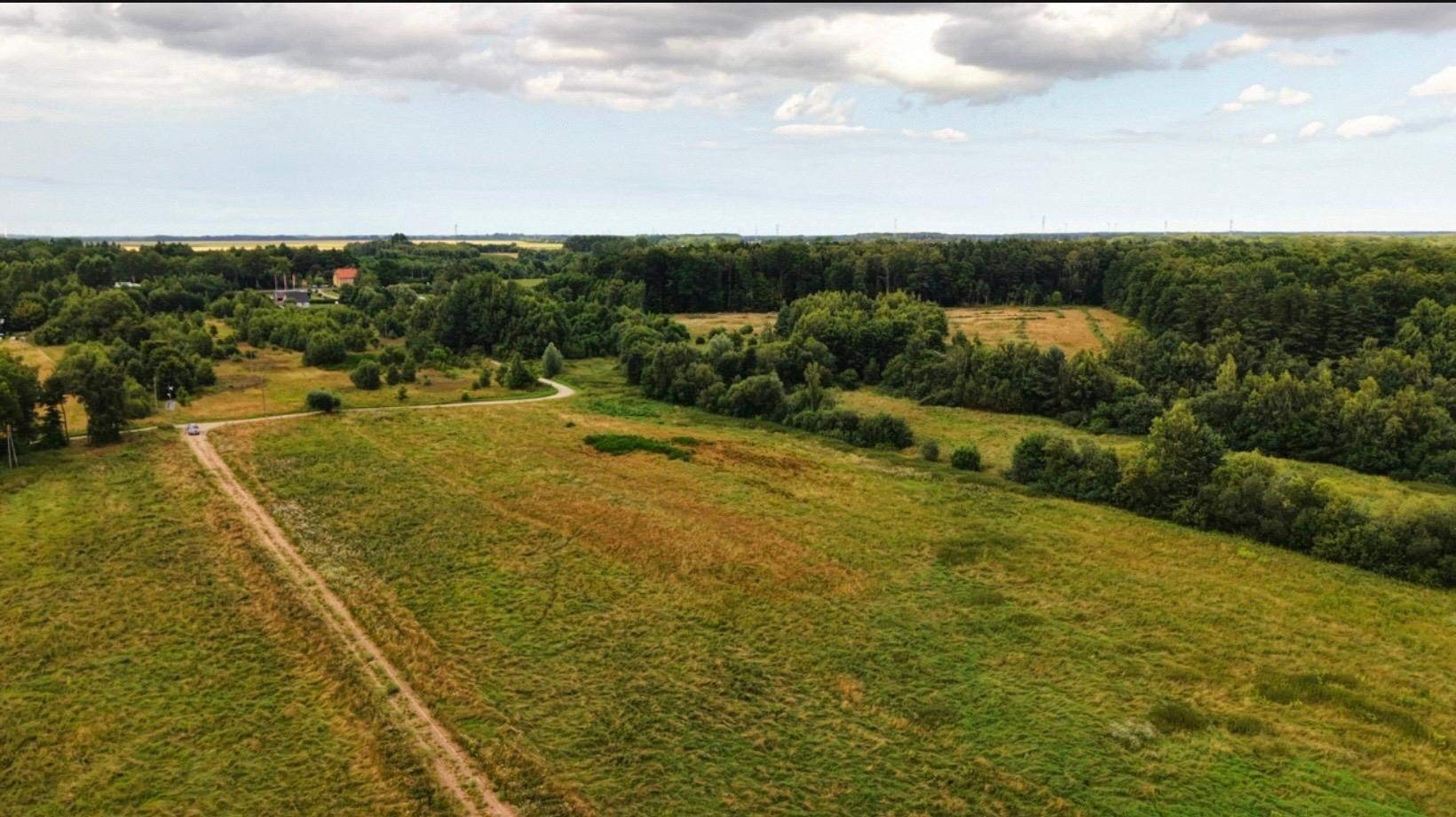 Zdjęcie 8
